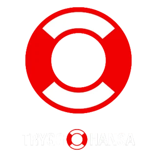 Svealand Takservice AB är försäkrade hos Trygg Hansa
